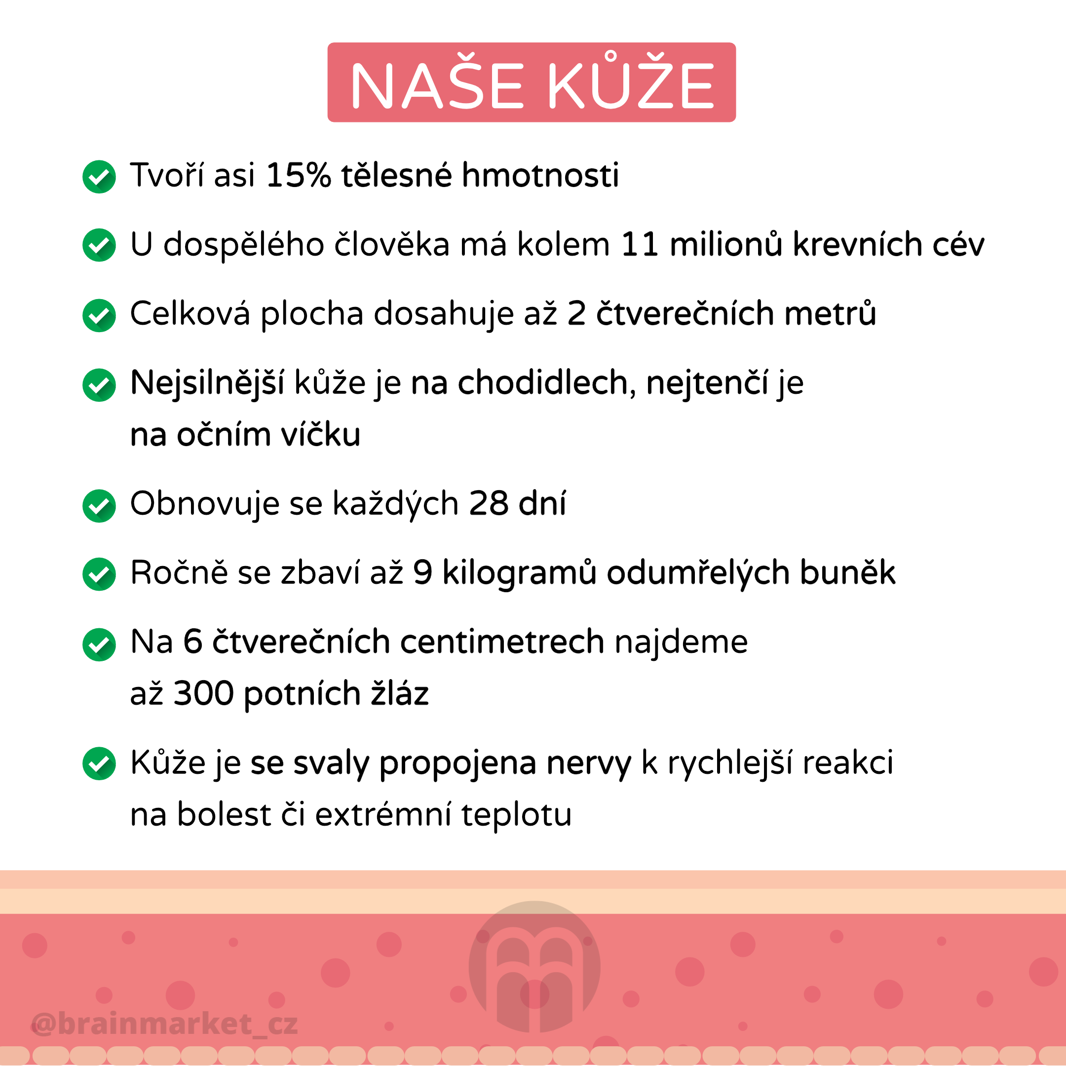 nase kuze_infografika_cz